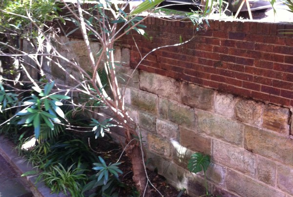 Strata Engineering Solutions - sandstone retaining wall remediation at Double Bay, NSW