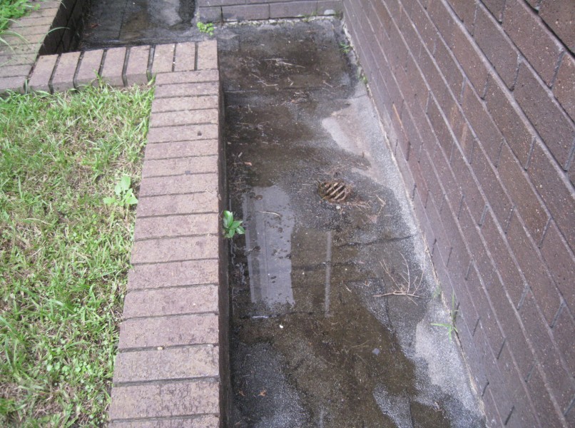 Strata Engineering Solutions - concrete podium slab remediation at Double Bay, NSW