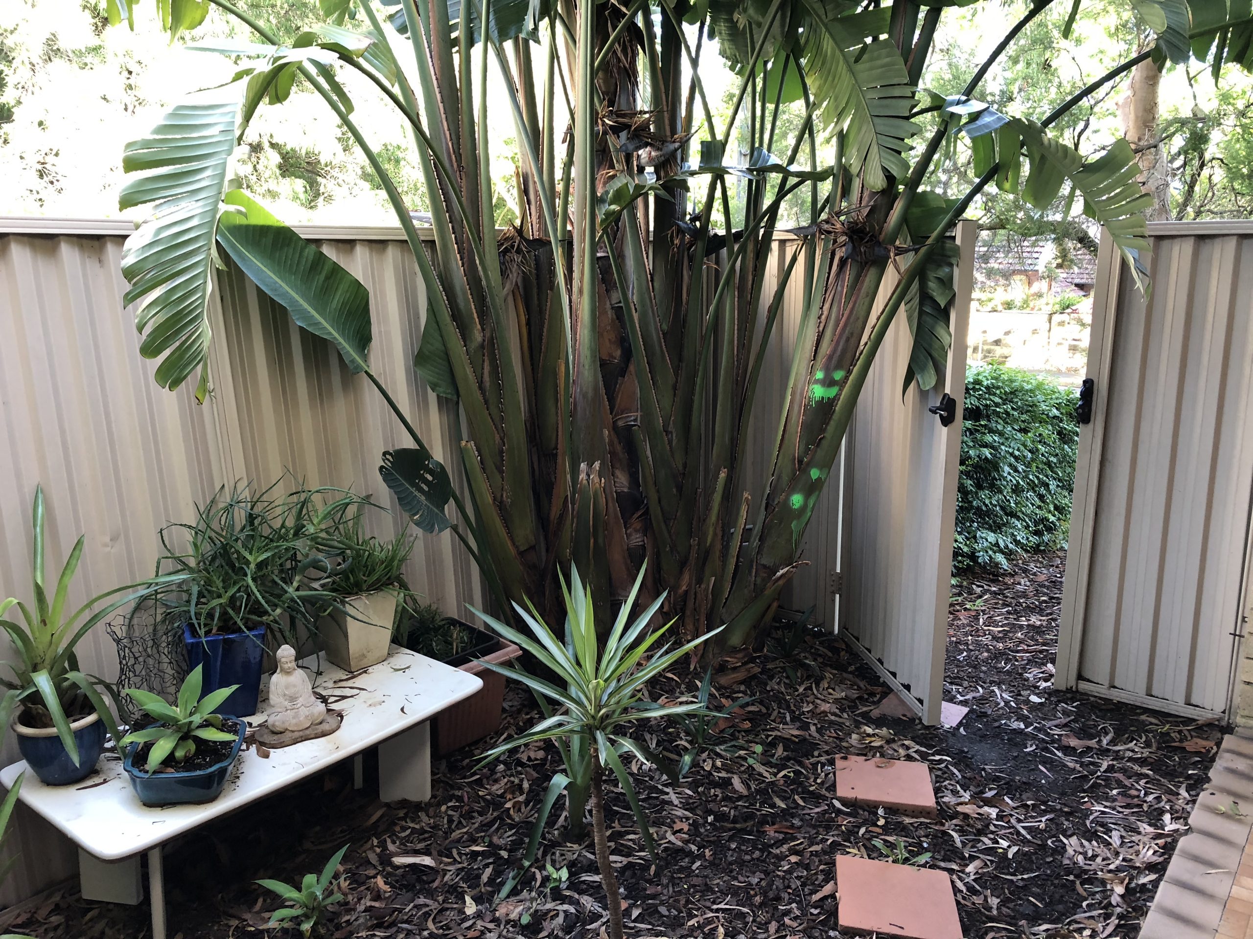 Strata Engineering Solutions - failing retaining wall remediation at Cremorne, NSW